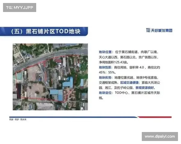 城市更新典范探索:十大成功案例深度解析与启示 城市更新典范探索:十大成功案例深度解析与启示